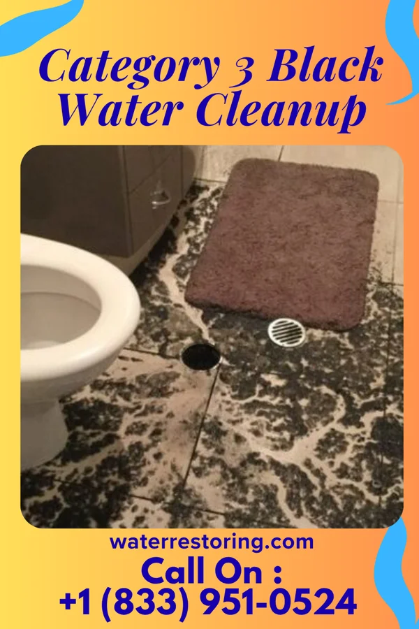 Category 3 Black Water Cleanup in Cape Royale, TX